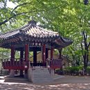 학동근린공원 Daum카페