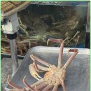 교동서로 이미지