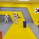 용인대 아름태권도 이미지