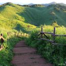 돌리네습지주차장 | 정선 민둥산 돌리네 숨은 최단코스 가는법 주차장 등산시간 일출 드론 풍경
