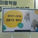 랄라샘 네이버블로그