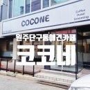 코코네 | 원주 애견카페추천 코코네 찐후기