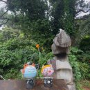 제주 서귀포 외돌개 | 제주 서귀포 외돌개 할망바위 관람 체험후기