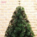 호텔서락 이미지