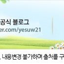 라인씨지 이미지