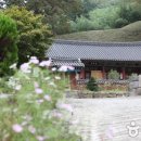 삼애식품