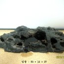 감자바우 이미지