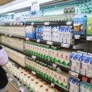 매일우유 음료 이미지