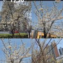 오복해장국 이미지