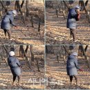구지1호 공원 파크골프장 이미지