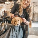 댕댕이미용실 이미지