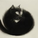 멋진 고양이 이미지