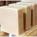 도그온리 이미지