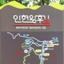양금로 Daum카페