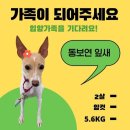 새동보약국 이미지