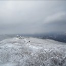 【제114차 푸른 정기산행2월】소백산(어의곡 ~천동 눈꽃여정) ★출발지변경확인★ 이미지