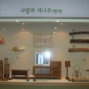 한국대나무 이미지