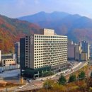 정선인투라온호텔 이미지