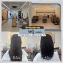 중심상가(병점롯데시네마 방면) | [병점 미용실] 1인 미용실, 꼼꼼하고 섬세한 시술에 안마샴푸까지! 해온 솔직 추천 후기