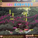 솔바람사이길 이미지