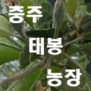 태봉농장 이미지