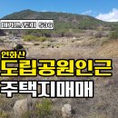 연화산민박 Daum카페