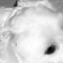 다문2리 이미지