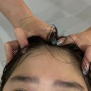 쎄이헤어 이미지