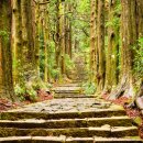 명현약국 이미지