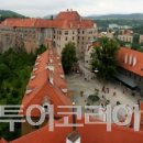낭만바늘 이미지