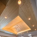 파인피노 이미지