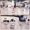 새미래 소나무향기태권도 이미지