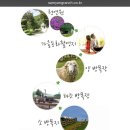 장선목장 네이버블로그