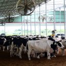 승인축산 이미지