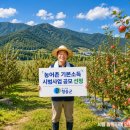 따박따박