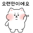 슈블리펫살롱 이미지