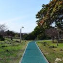 신산공원 이미지