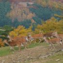 두레목장 이미지