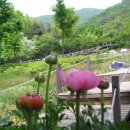 계양산목장 이미지