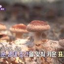 횡성상생장터