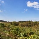 여주-1036 이미지