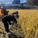 아림고등학교 네이버블로그