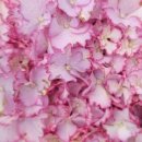 대흥자동차 이미지