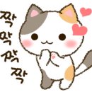 버스정류장 06-226 이미지