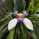 왜관읍사무소 이미지