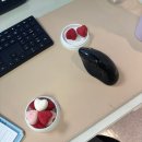 강남힘찬병원 | 선명한 확신을 난 바라 | 251016~251018