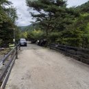 포시즌캠핑장 | 힐링하기 좋은 가평 애견동반 캠핑장 포시즌 캠핑장 A 10 사이트 후기