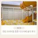 톤톤프리미엄키즈카페 이미지