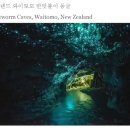 조이피스 이미지