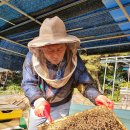 허니농장 이미지